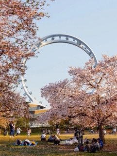 ชิงช้าสวรรค์แบบใหม่ ไร้ก้านและสูงที่สุดในโลก เห็นกรุงโซล 360 องศา