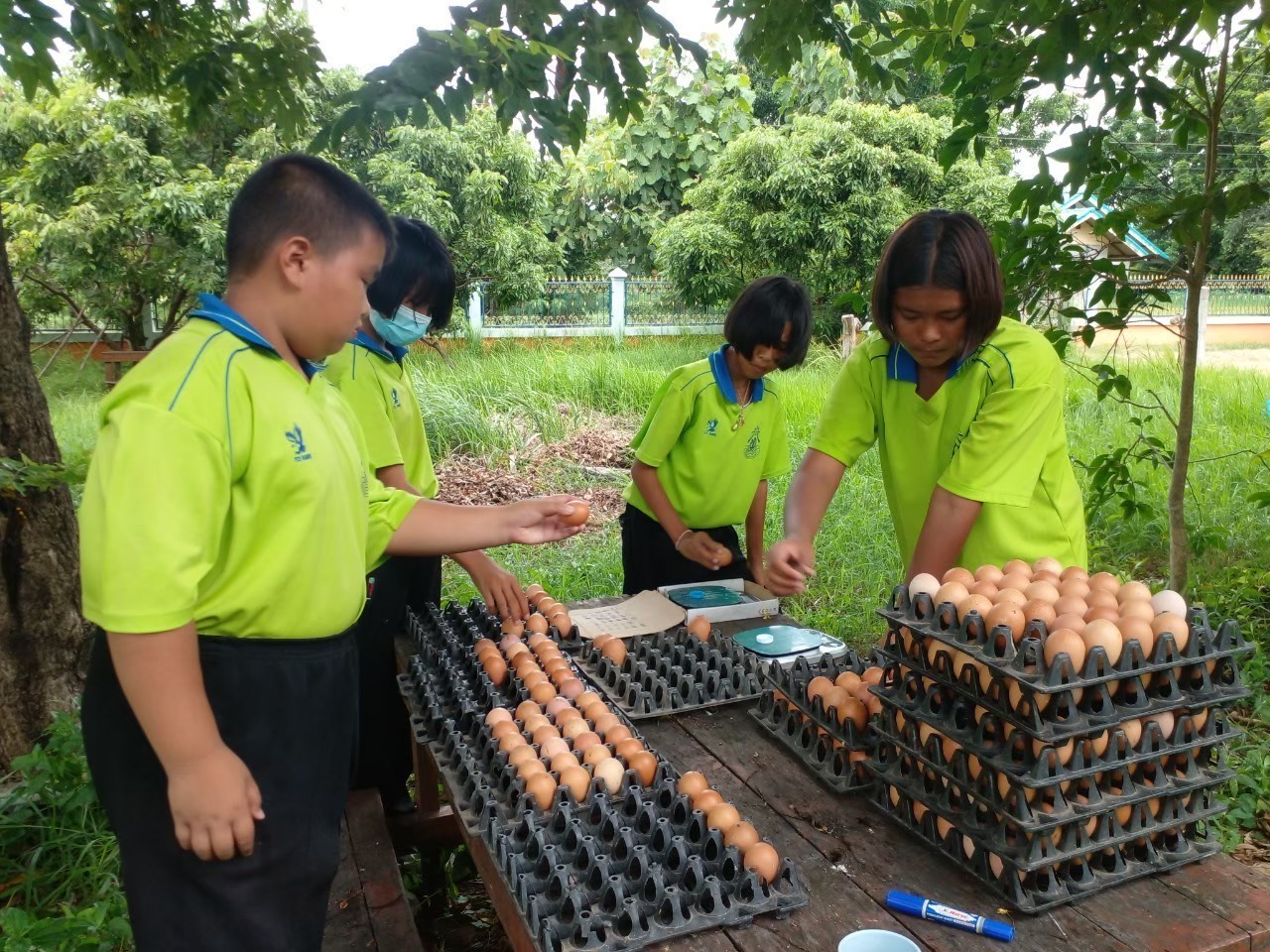 CPF ร่วมสร้างยุวเกษตรให้น้องๆรร.บ้านบุเขว้าจ.นครราชสีมา  ในโครงการคอนเน็กซ์ อีดี