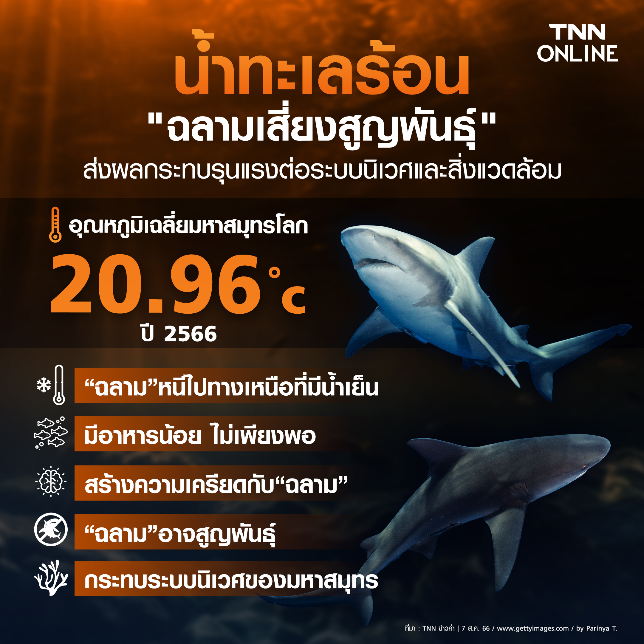 น้ำทะเลร้อน ส่งผลกระทบรุนแรงต่อระบบนิเวศและสิ่งแวดล้อม น้ำทะเลร้อน ส่งผลกระทบรุนแรงต่อระบบนิเวศและสิ่งแวดล้อม