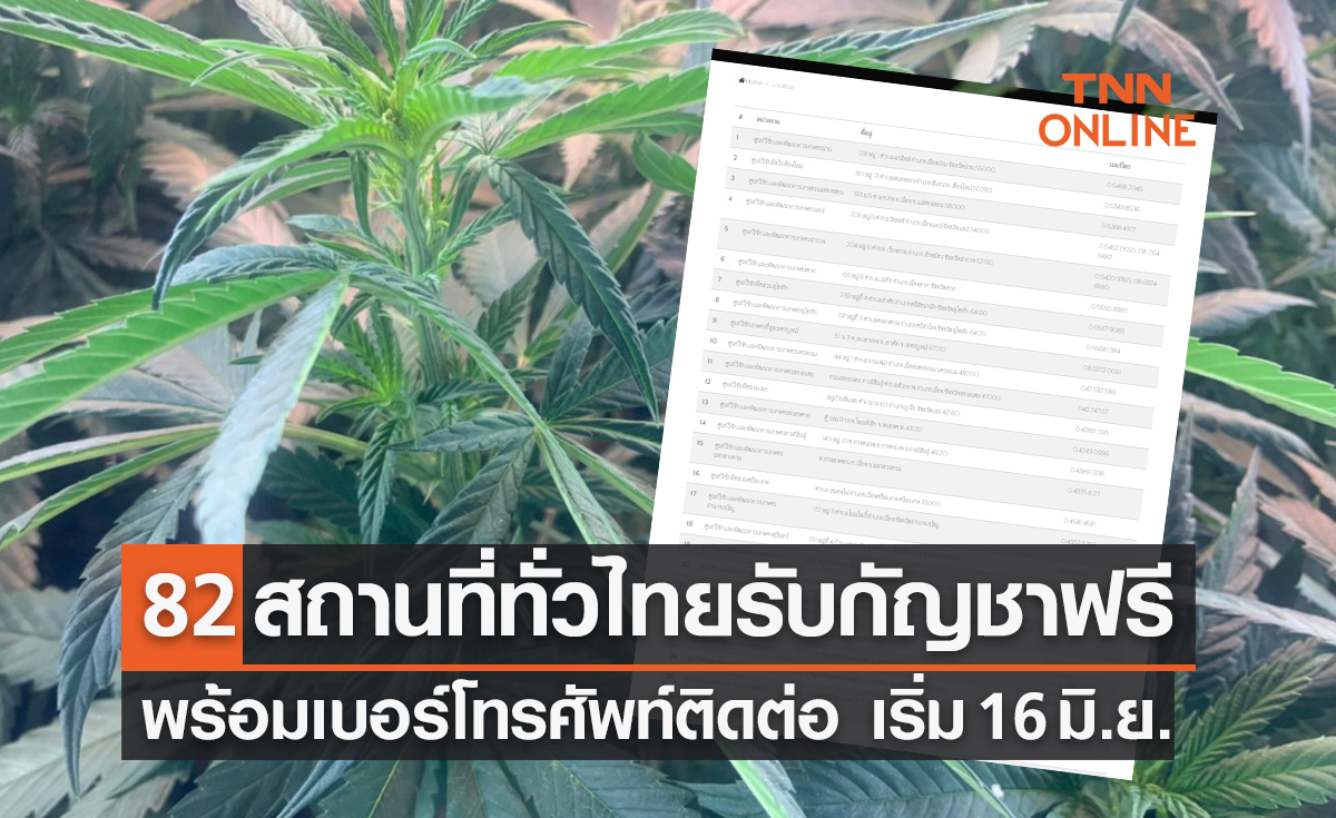 เช็กรายชื่อ 82 สถานที่ ขอรับกัญชา-กัญชง ฟรีทั่วประเทศ พร้อมเบอร์โทรศัพท์ติดต่อ