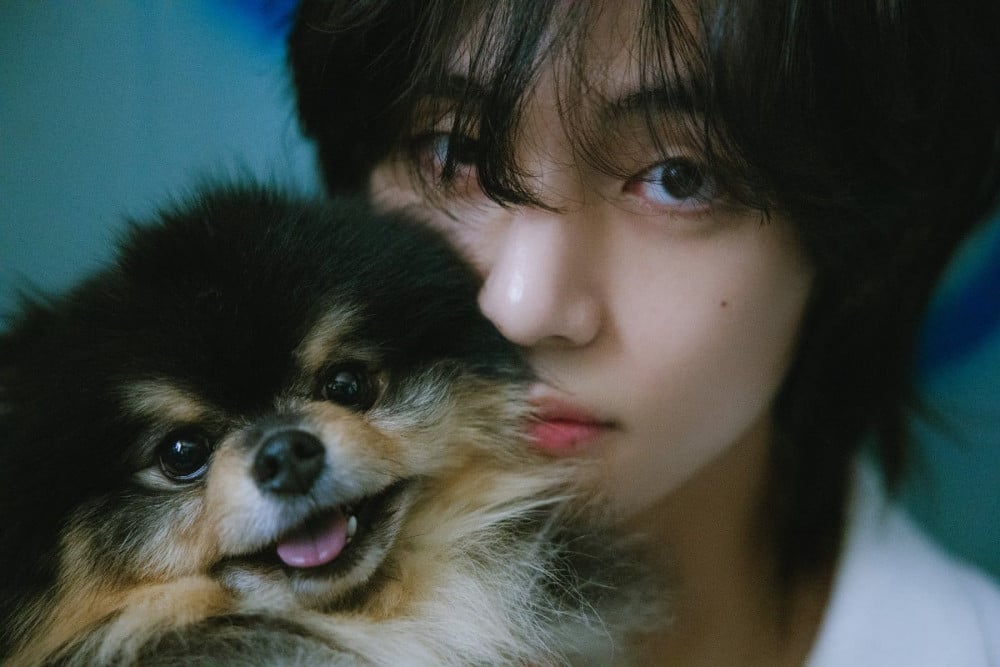 แฟนๆ กรี๊ด “V” วง “BTS” หยอดคำหวานให้ “พัคโบกอม” กลางไลฟ์ แฟนๆ กรี๊ด “V” วง “BTS” หยอดคำหวานให้ “พัคโบกอม” กลางไลฟ์