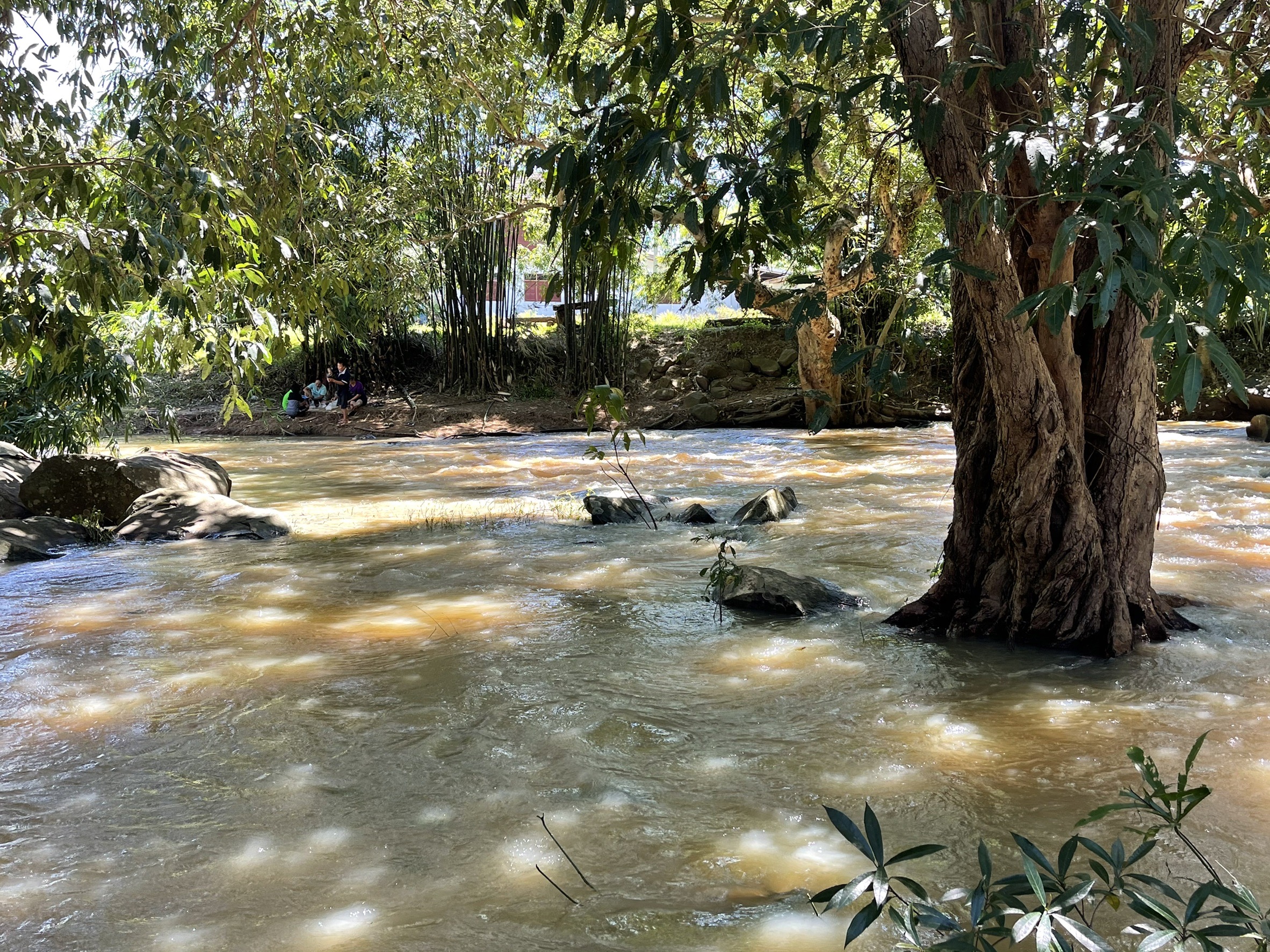 ที่เที่ยววังน้ำเขียว ‘น้ำตกธารท่าลี่ ’ สวยงามชุ่มฉ่ำรับปลายฝนต้นหนาว ที่เที่ยววังน้ำเขียว ‘น้ำตกธารท่าลี่ ’ สวยงามชุ่มฉ่ำรับปลายฝนต้นหนาว