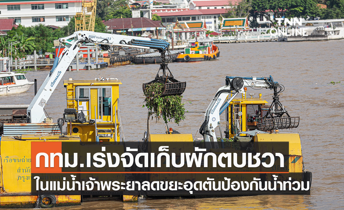 กทม.เร่งจัดเก็บผักตบชวาในแม่น้ำเจ้าพระยาช่วงน้ำหลากลดขยะอุดตันป้องกันน้ำท่วม