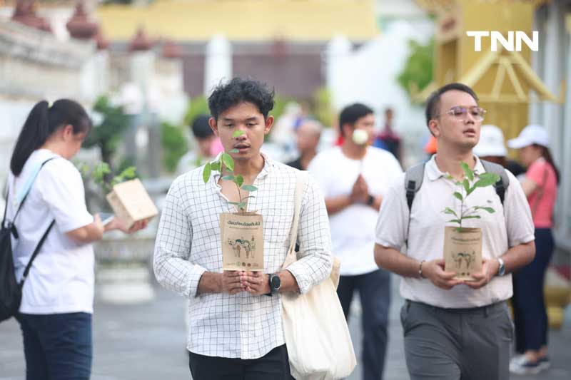 เวียนเทียนต้นไม้ “วิสาขบูชา” ลดเผาธูป-เทียน ก่อวิกฤตฝุ่น PM2.5 เวียนเทียนต้นไม้ “วิสาขบูชา” ลดเผาธูป-เทียน ก่อวิกฤตฝุ่น PM2.5