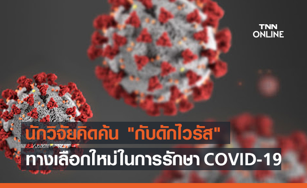 นักวิจัยคิดค้น กับดักไวรัส ทางเลือกใหม่ในการรักษา COVID-19