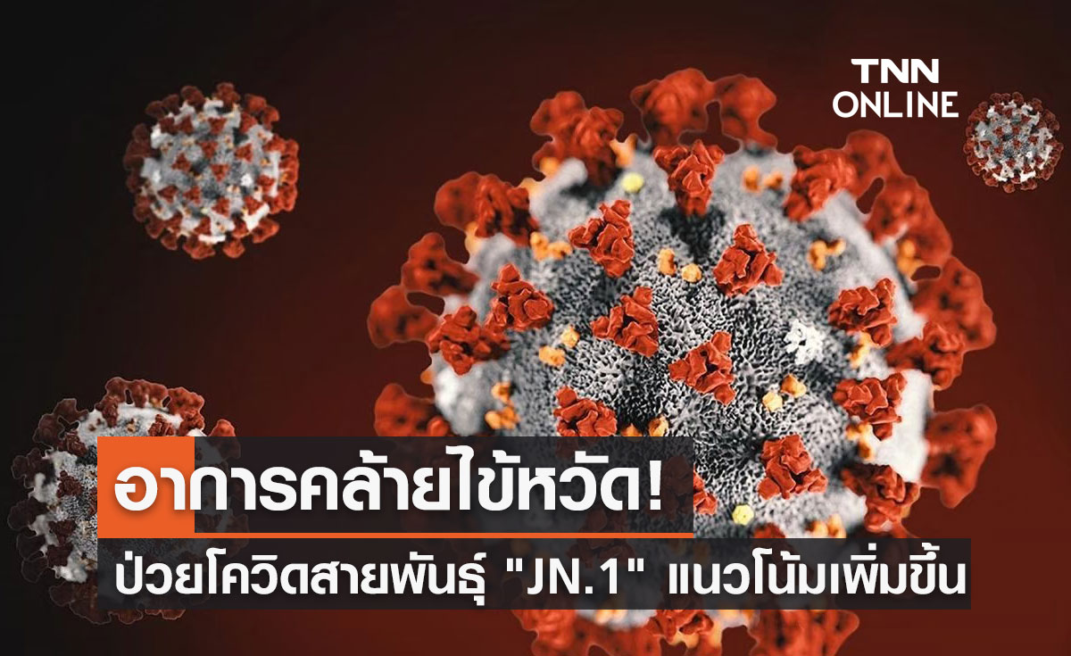 ป่วยโควิดสายพันธุ์ย่อย "JN.1" แนวโน้มเพิ่มขึ้น มีอาการคล้ายไข้หวัด