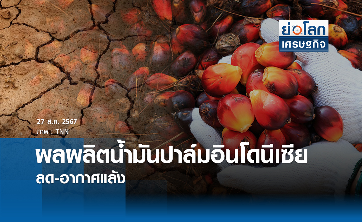 ผลผลิตน้ำมันปาล์มอินโดนีเซียลด-อากาศแล้ง | ย่อโลกเศรษฐกิจ