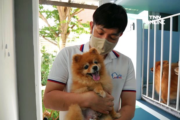 เปิดกลยุทธ์ โรงแรมสุนัข ปรับธุรกิจรับฝากสัตว์เลี้ยง ยามโควิดระบาด เปิดกลยุทธ์ โรงแรมสุนัข ปรับธุรกิจรับฝากสัตว์เลี้ยง ยามโควิดระบาด