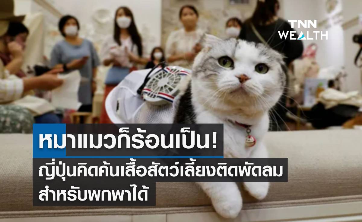 หมาแมวก็ร้อนเป็น! ญี่ปุ่นคิดค้นเสื้อสัตว์เลี้ยงติดพัดลม สำหรับพกพาได้