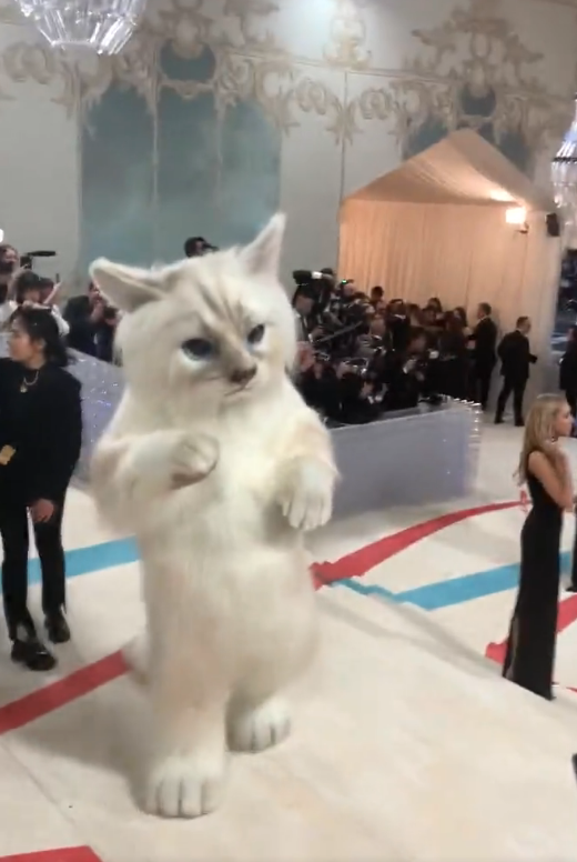 Met Gala 2023 เปิดที่มาชุดแมวของ Jared Leto น่ารักสตอรี่ดี! 