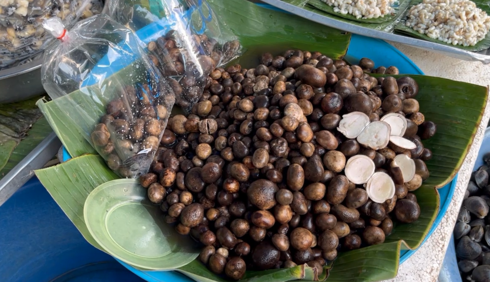 ชี้เป้าแหล่งซื้อ-ขาย ‘เห็ดเผาะ’ ราคาพุ่ง!สร้างรายได้งาม 5 หมื่นบาทต่อเดือน ชี้เป้าแหล่งซื้อ-ขาย ‘เห็ดเผาะ’ ราคาพุ่ง!สร้างรายได้งาม 5 หมื่นบาทต่อเดือน