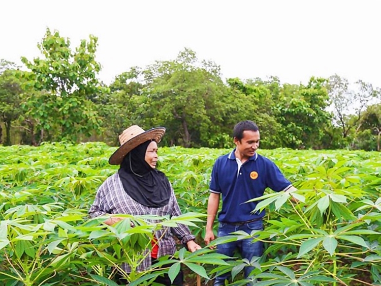 ซีพีเอฟ เดินหน้า Greenfarm - Smart Farm ยกระดับการเลี้ยงหมูปลอดภัยเป็นมิตรกับสิ่งแวดล้อม