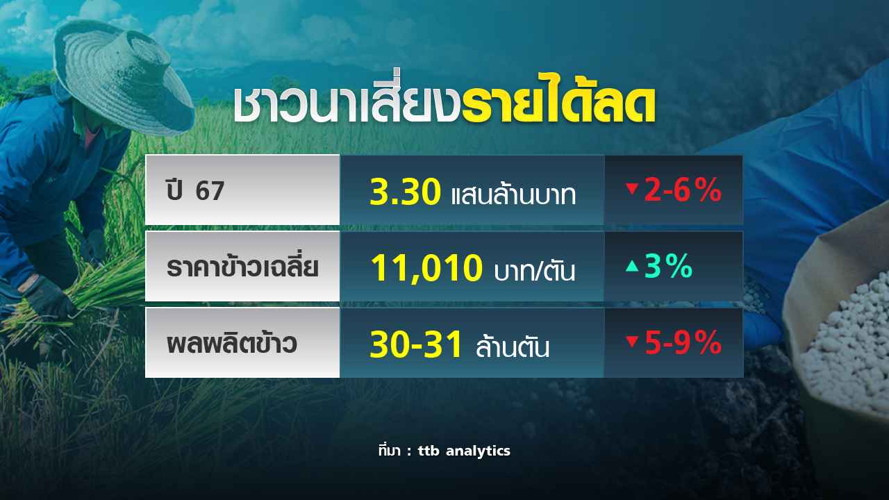 ชาวนาไทยยังยากจน หวัง ปุ๋ยคนละครึ่ง ดูแล ชาวนาไทยยังยากจน หวัง ปุ๋ยคนละครึ่ง ดูแล