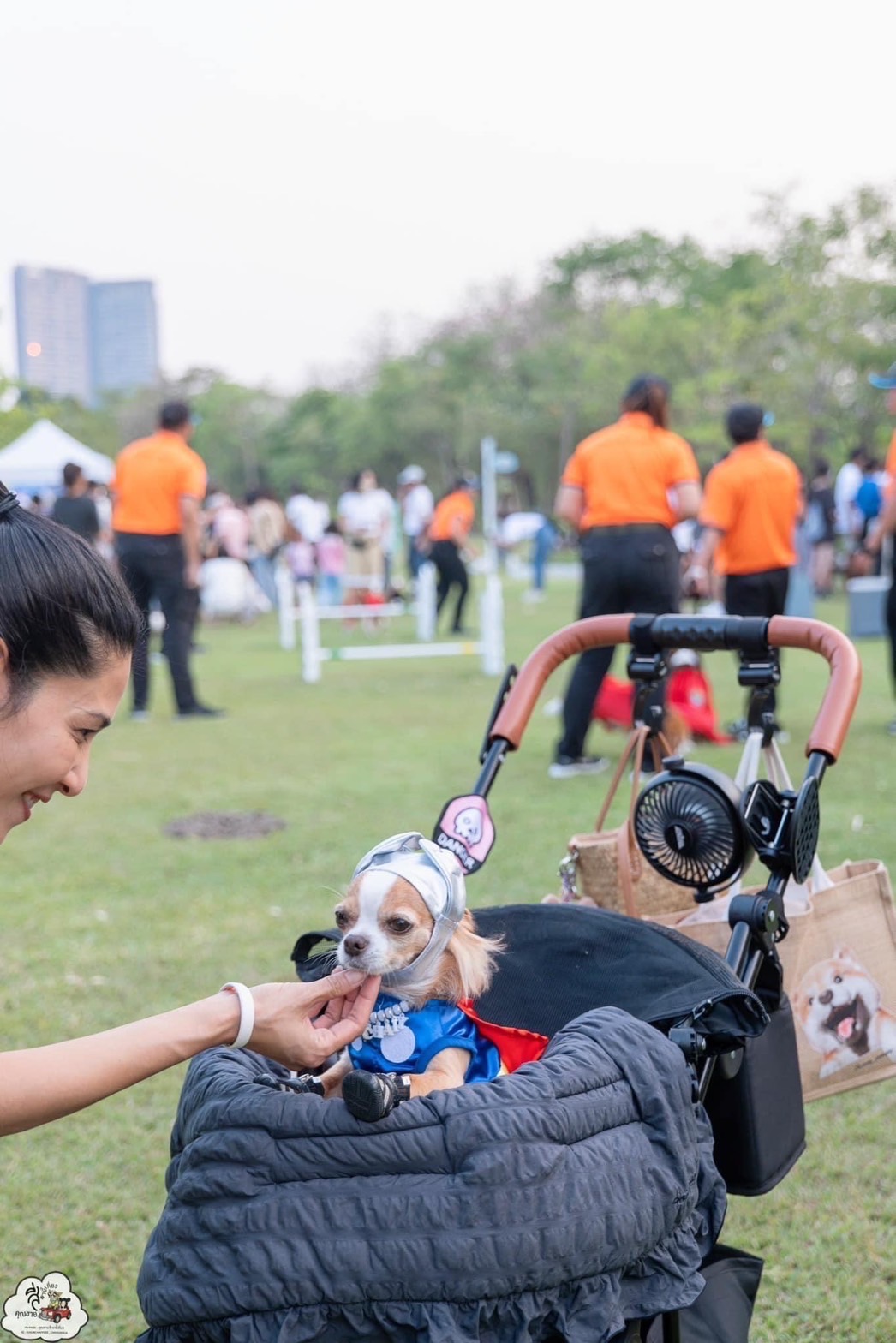 กทม. จับมือ เจอร์ไฮ-จินนี่ เปิด ‘Pet Park สวนรถไฟ’ พร้อมต้อนรับ ‘ฮีไร่ 4 ขา’ น้องหมาน้องแมว กทม. จับมือ เจอร์ไฮ-จินนี่ เปิด ‘Pet Park สวนรถไฟ’ พร้อมต้อนรับ ‘ฮีไร่ 4 ขา’ น้องหมาน้องแมว