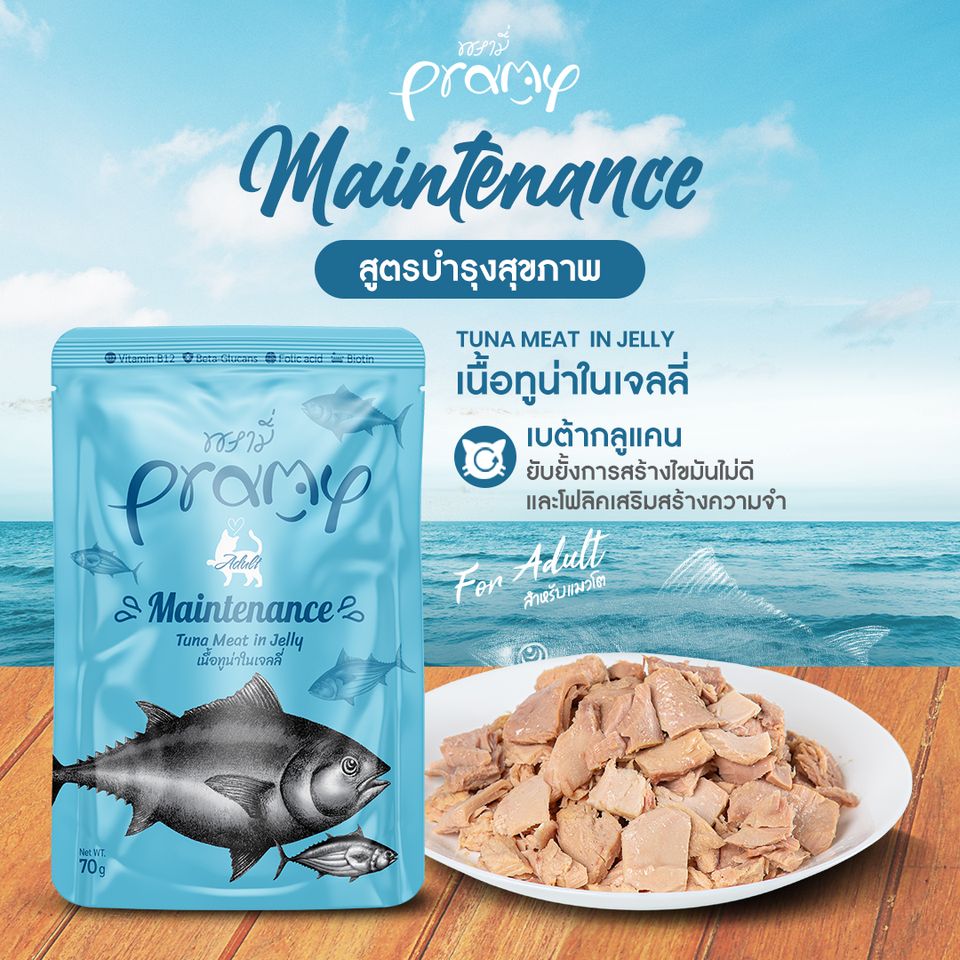 6 อาหารเปียกแมว ยี่ห้อไหนดีปี 2022 อร่อยถูกใจแมว คนเลี้ยงแฮปปี้!