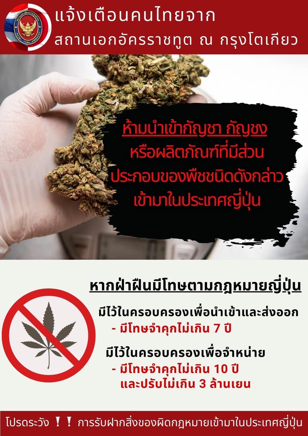 เตือนห้ามนำ กัญชา-กัญชง เข้าประเทศญี่ปุ่น เตือนห้ามนำ กัญชา-กัญชง เข้าประเทศญี่ปุ่น