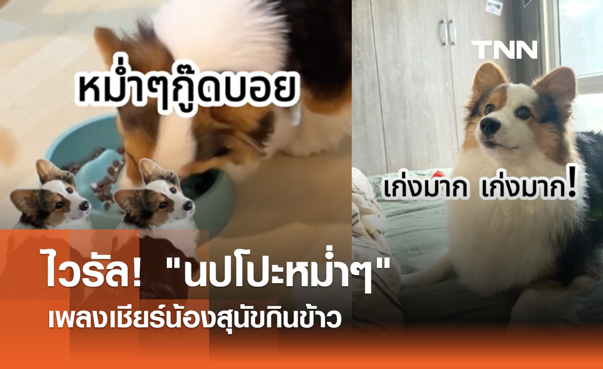 ไวรัล! "นปโปะหม่ำๆ" เพลงเชียร์น้องสุนัขกินข้าว