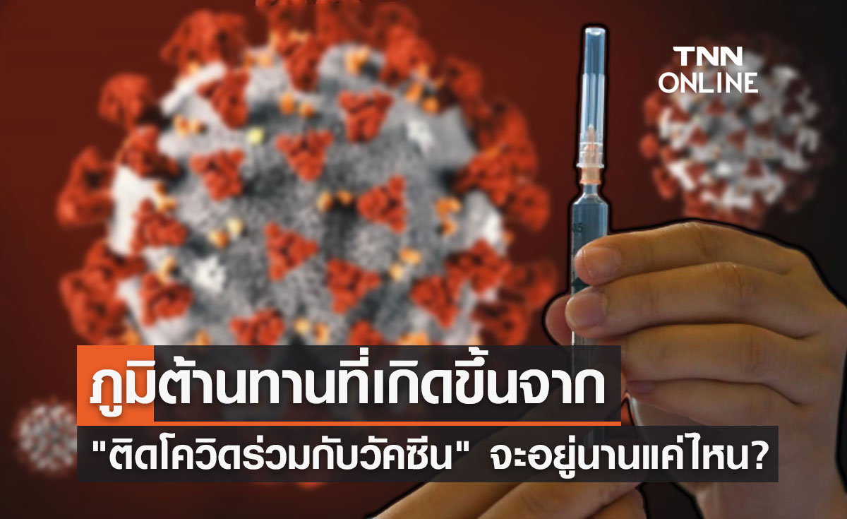 ภูมิต้านทานที่เกิดขึ้นจาก "ติดโควิดร่วมกับวัคซีน" จะอยู่นานแค่ไหน?