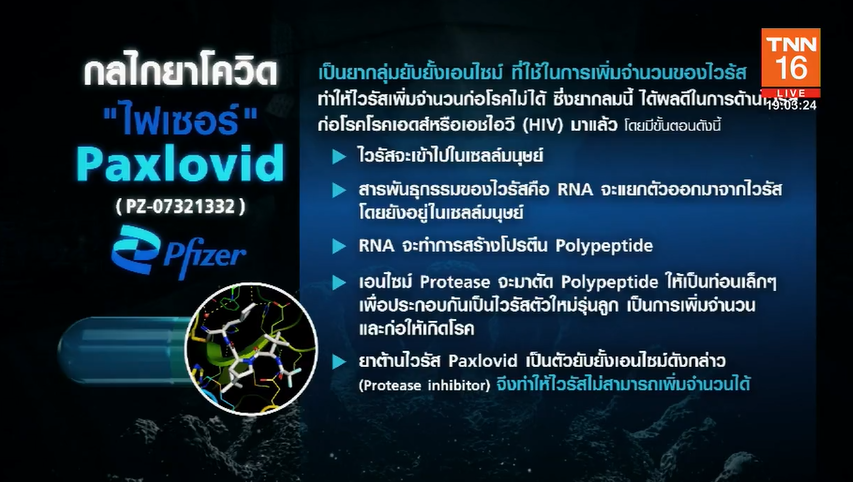 รู้จัก แพกซ์โลวิด (Paxlovid) ยาต้านโควิด ลดป่วยหนัก-เสียชีวิตได้ 89%