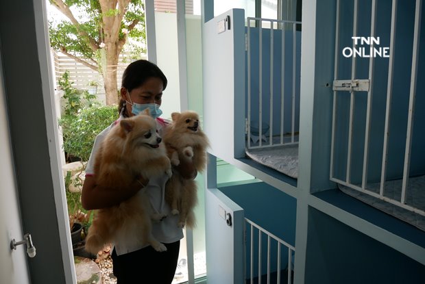 เปิดกลยุทธ์ โรงแรมสุนัข ปรับธุรกิจรับฝากสัตว์เลี้ยง ยามโควิดระบาด