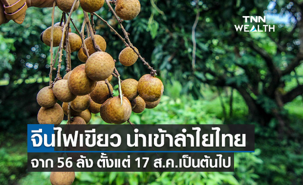 จีนไฟเขียวนำเข้าลำไยไทย เริ่ม 17 ส.ค.เป็นต้นไป