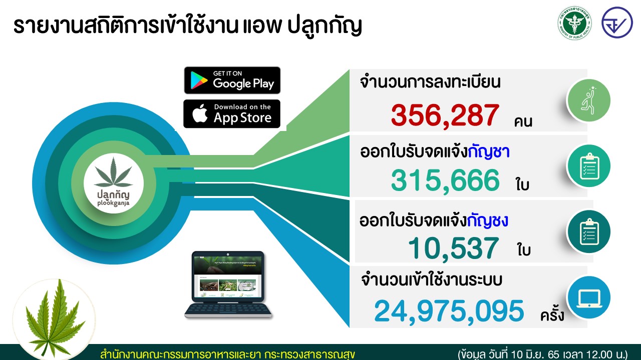 ลงทะเบียนกัญชา มากกว่า 3.5 แสนคนแล้ว เช็กครบทุกขั้นตอนได้ที่นี่