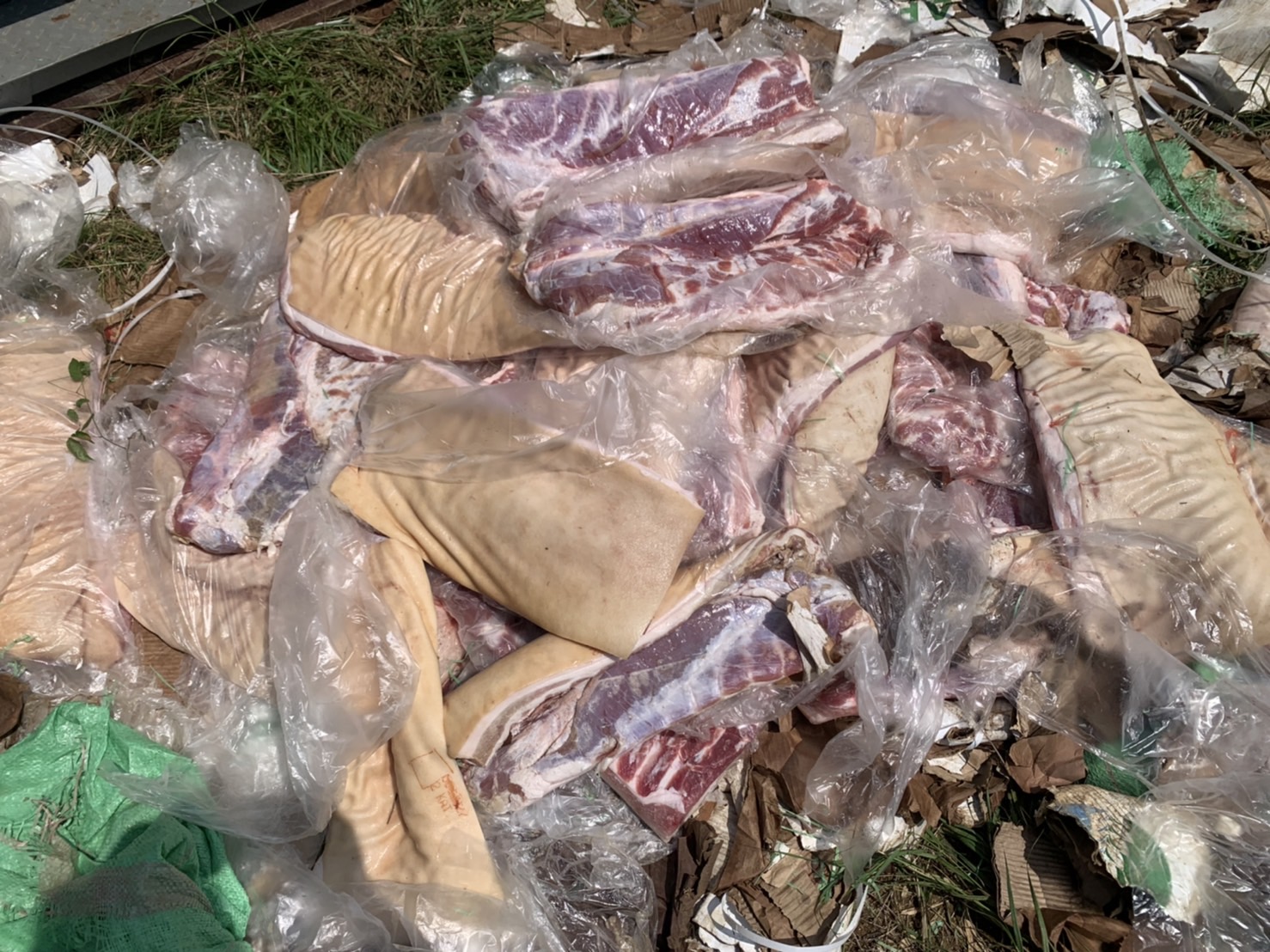 รัฐต้องหา “หนอนบ่อนไส้” ชักศึก “หมูเถื่อน” เข้าบ้าน รัฐต้องหา “หนอนบ่อนไส้” ชักศึก “หมูเถื่อน” เข้าบ้าน