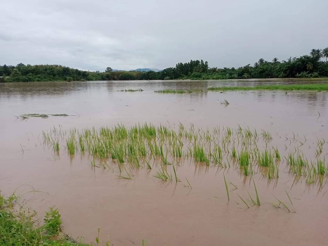 ลำปาง ฝนตกหนักน้ำป่าท่วมท่วม 2 หมู่บ้านใน อ.เถิน ลำปาง ฝนตกหนักน้ำป่าท่วมท่วม 2 หมู่บ้านใน อ.เถิน