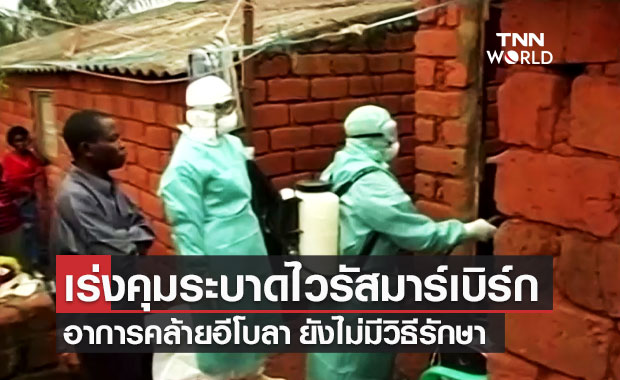 WHO เร่งควบคุมการระบาดของไวรัสมาร์เบิร์ก ในทวีปแอฟริกา