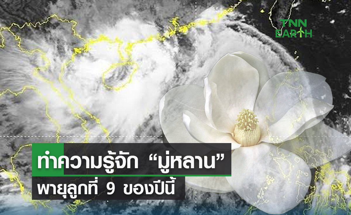 ทำความรู้จัก “มู่หลาน” พายุลูกที่ 9 ของปีนี้ กระทบไทย 11-13 ส.ค.
