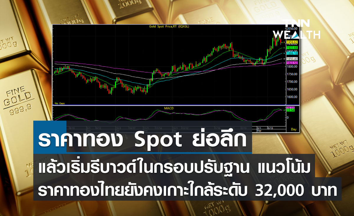 ราคาทอง Spot ย่อลึกแล้วเริ่มรีบาวด์ในกรอบปรับฐาน แนวโน้มราคาทองไทยยังคงเกาะใกล้ระดับ 32,000 บาท   