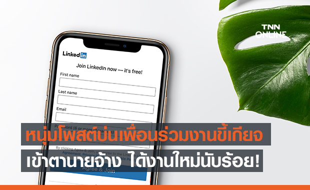 โพสต์โดนใจจนได้งาน! หนุ่มอังกฤษบ่นเพื่อนร่วมงานแสนจุกจิกบน LinkedIn จนบริษัทแห่มอบตำแหน่งให้