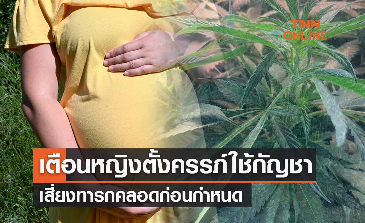 หมอธีระเตือนหญิงตั้งครรภ์หากใช้กัญชาเสี่ยงคลอดก่อนกำหนด-น้ำหนักน้อย
