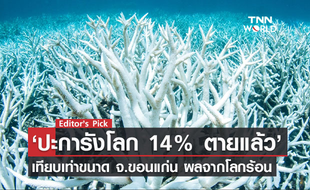 ปะการังโลก 14% ตายแล้วในรอบ 10 ปีที่ผ่านมา หรือเทียบเท่าขนาดจังหวัดขอนแก่น 