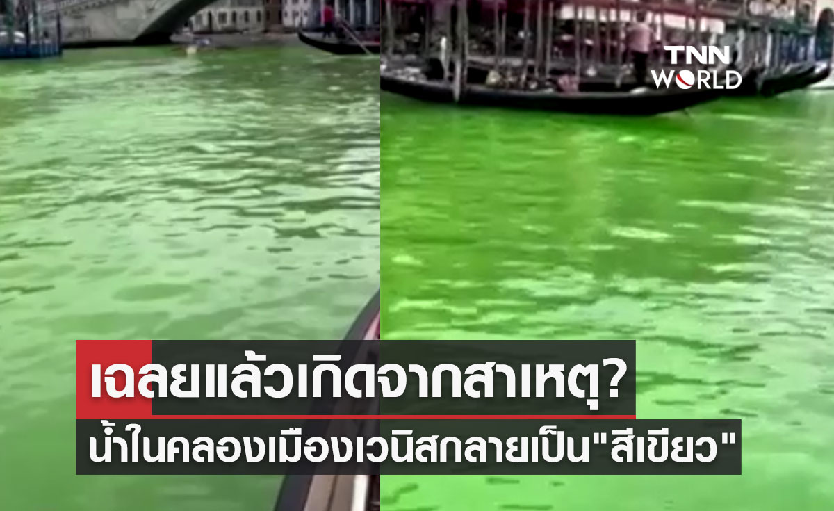 เฉลยแล้ว! สาเหตุน้ำในคลองเมืองเวนิส ดินแดนแห่งสายน้ำกลายเป็น "สีเขียว"