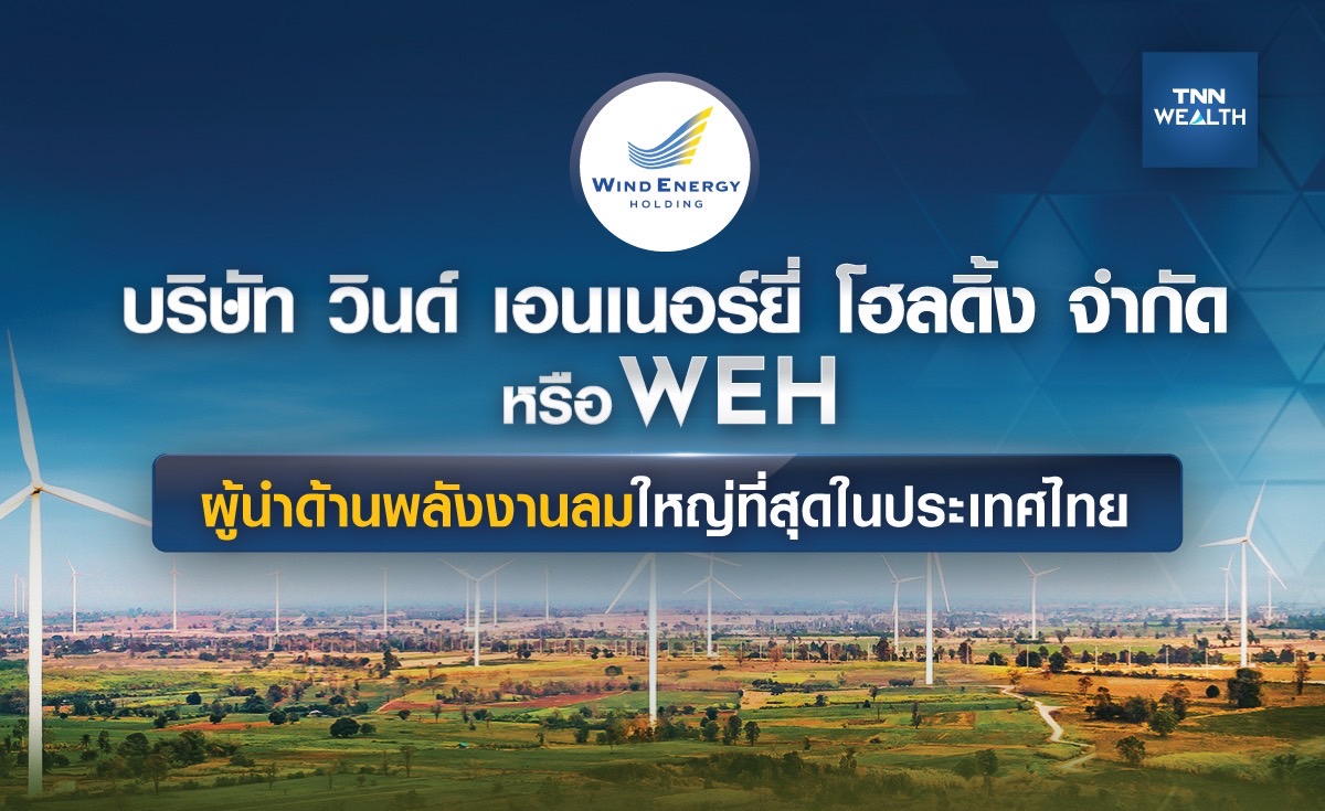 บริษัท วินด์ เอนเนอร์ยี่ โฮลดิ้ง จำกัด หรือ WEH ผู้นำด้านพลังงานลมใหญ่ที่สุดในประเทศไทย 