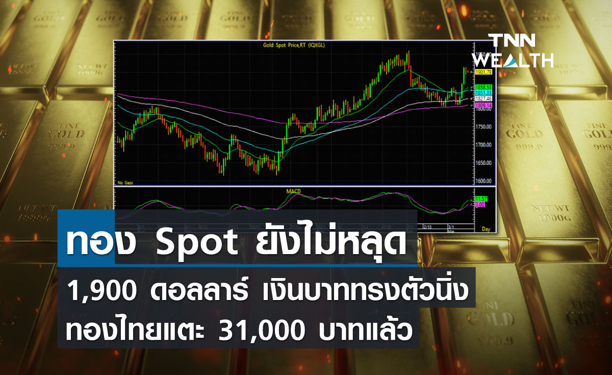 ทอง Spot ยังไม่หลุด 1,900 ดอลลาร์ เงินบาททรงตัวนิ่ง ทองไทยแตะ 31,000 บาทแล้ว