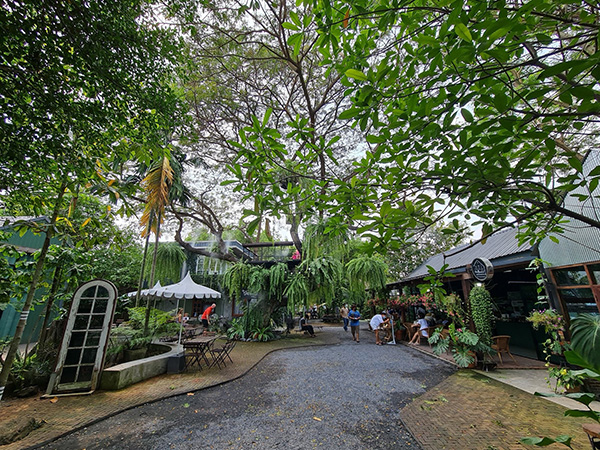 10 ที่เที่ยวปทุมธานี แหล่งท่องเที่ยวใกล้กรุง ขับรถเที่ยวชิลๆ 10 ที่เที่ยวปทุมธานี แหล่งท่องเที่ยวใกล้กรุง ขับรถเที่ยวชิลๆ