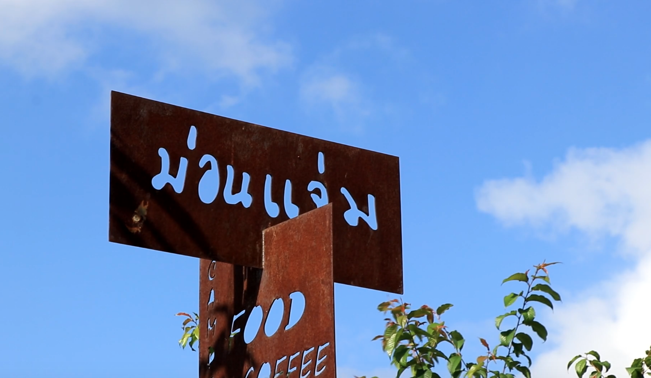ดอยม่อนแจ่ม นทท.แห่สัมผัสลมหนาว ดอกไม้หลากสีตระการตา ดอยม่อนแจ่ม นทท.แห่สัมผัสลมหนาว ดอกไม้หลากสีตระการตา