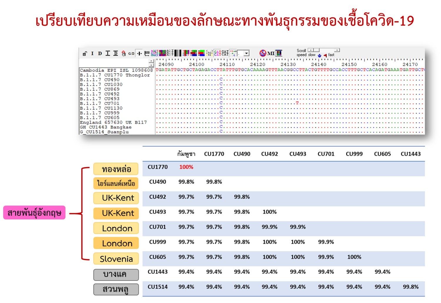 นพ.ยง ถอดรหัสพันธุกรรม ฟันธงโควิดสถานบันเทิงไทย เป็นสายพันธุ์เดียวกับกัมพูชา นพ.ยง ถอดรหัสพันธุกรรม ฟันธงโควิดสถานบันเทิงไทย เป็นสายพันธุ์เดียวกับกัมพูชา