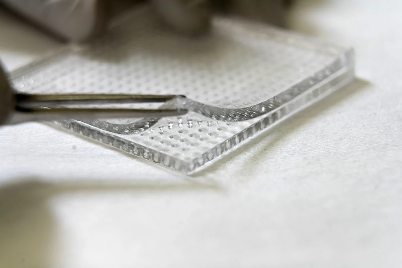 Microneedle ทางออกใหม่ในการรักษาแผลติดเชื้อเรื้อรัง