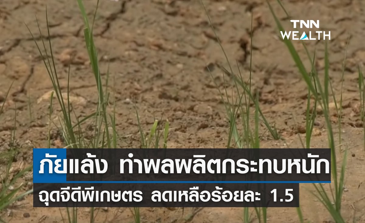 ภัยแล้งฉุดจีดีพีเกษตร ลดเหลือร้อยละ 1.5 หลังผลผลิตถูกกระทบหนัก