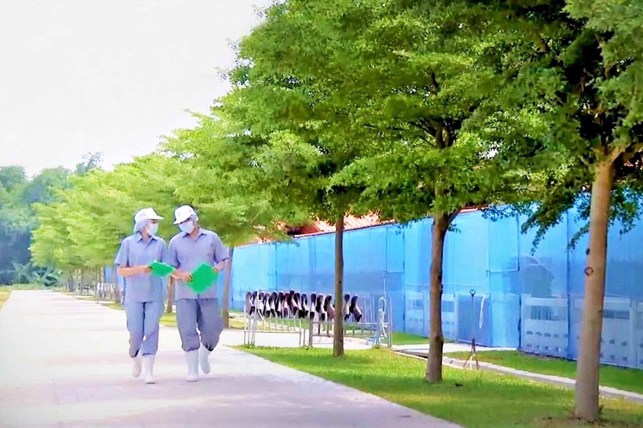 CPF เดินหน้า “Greenfarm” ดันใช้ “ไบโอแก๊ส-โซลาร์ฟาร์ม” เป็นพลังงานทดแทน
