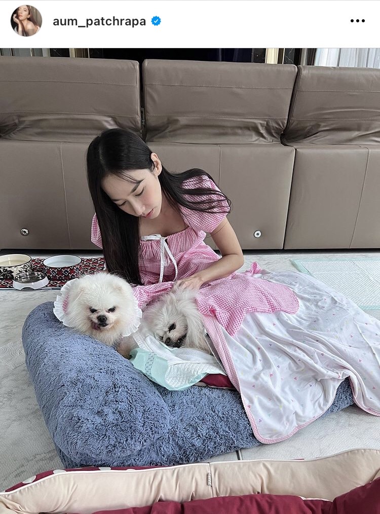 อั้ม สุดเศร้าจำใจต้องลาพี่เติ้ลน้องหมาสุดรักครั้งสุดท้าย