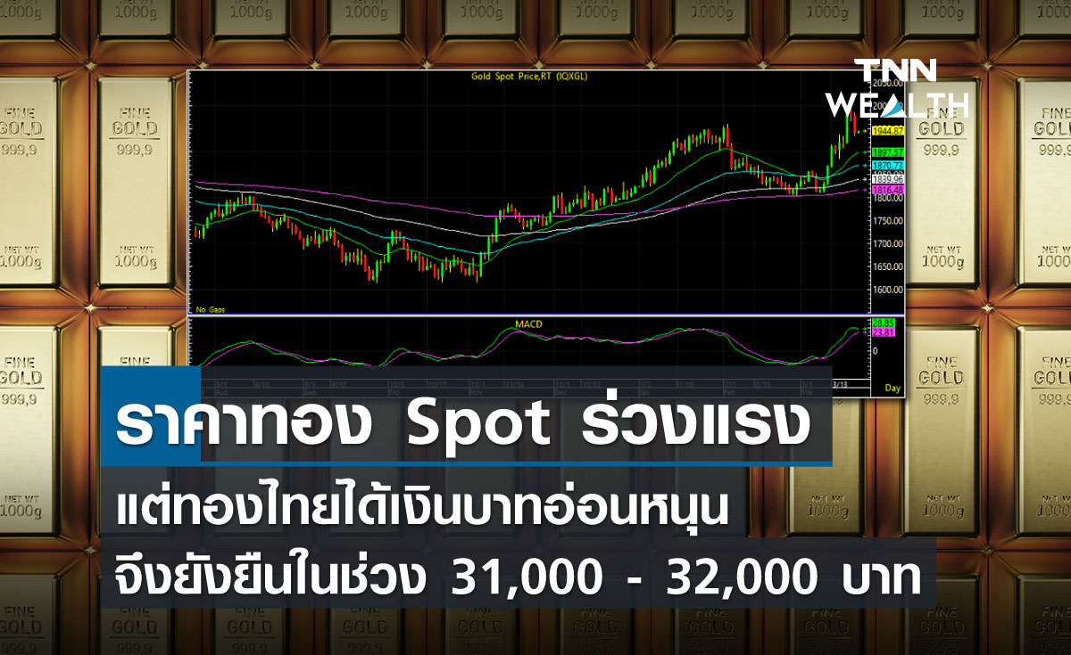 ราคาทอง Spot ร่วงแรง แต่ทองไทยได้เงินบาทอ่อนหนุน จึงยังยืนในช่วง 31,000-32,000 บาท