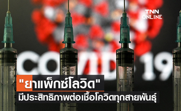 "ยาแพ็กซ์โลวิด" มีประสิทธิภาพต่อเชื้อโควิดทุกสายพันธุ์ รวมทั้ง"โอมิครอน"