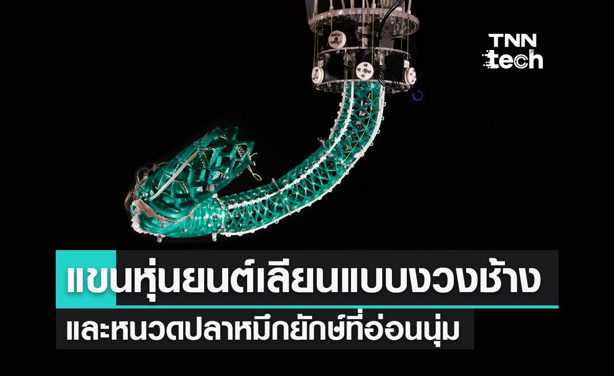 แขนหุ่นยนต์เลียนแบบงวงช้างและหนวดปลาหมึกยักษ์ที่อ่อนนุ่ม
