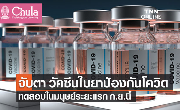 จับตา ‘วัคซีนใบยาป้องกันโควิด’ฝีมือคนไทยทดสอบในมนุษย์ก.ย.นี้