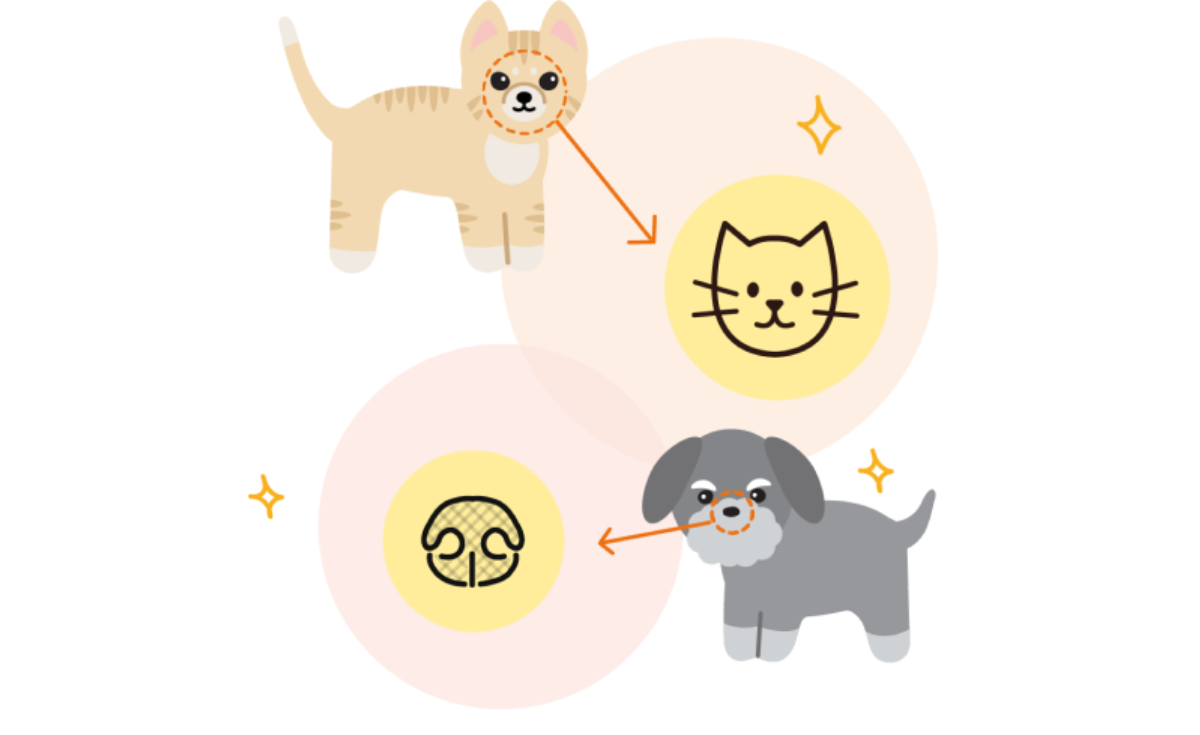 แอปพลิเคชัน Petnow ระบุตัวตนสัตว์เลี้ยงด้วยลายจมูกและใบหน้า แอปพลิเคชัน Petnow ระบุตัวตนสัตว์เลี้ยงด้วยลายจมูกและใบหน้า