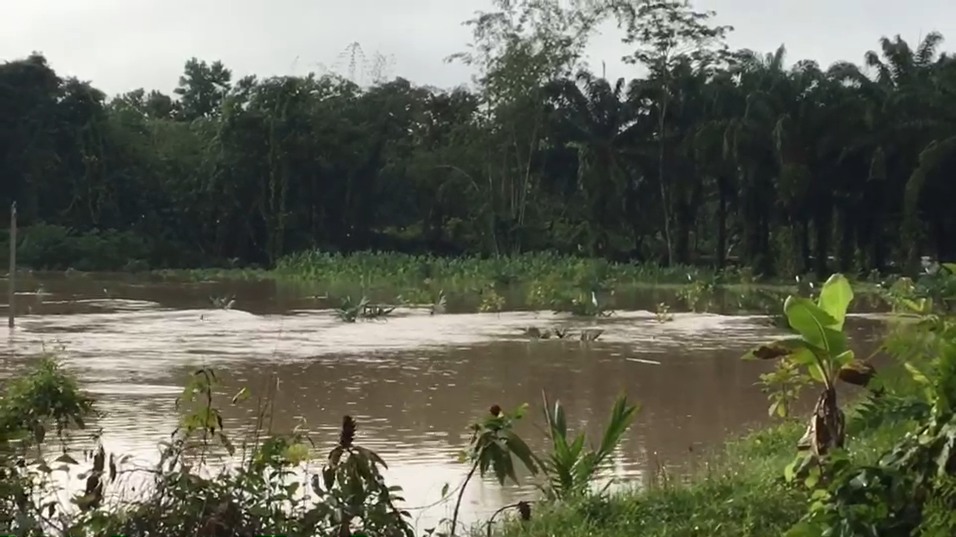 น้ำท่วมกระบี่ เตือนประชาชนขนของขึ้นที่สูง ฝนตกหนัก-น้ำหลาก 